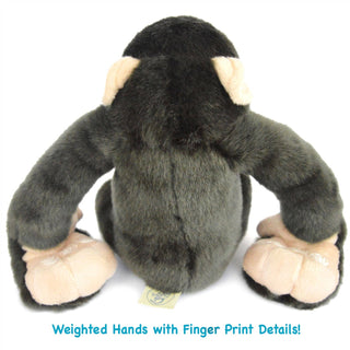 Chance the Chimpanzee | Stuffed Animal Plush