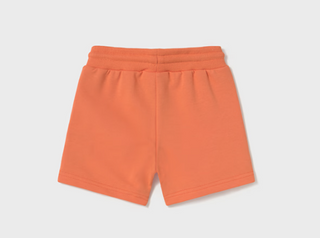 Baby Boy Sports Shorts