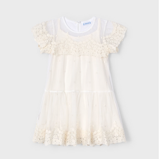 Girls Embroidered Tulle Dress