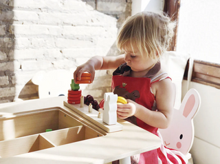 Tender Leaf Toys