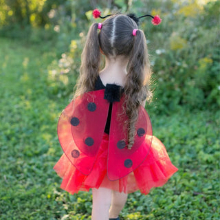 Glitter Ladybug Set