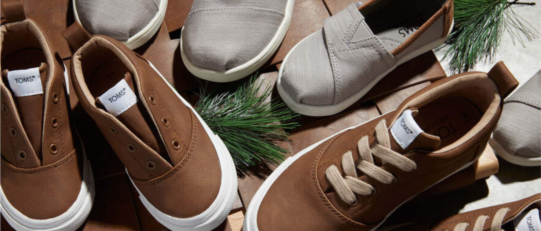 Toms skate best sale shoes