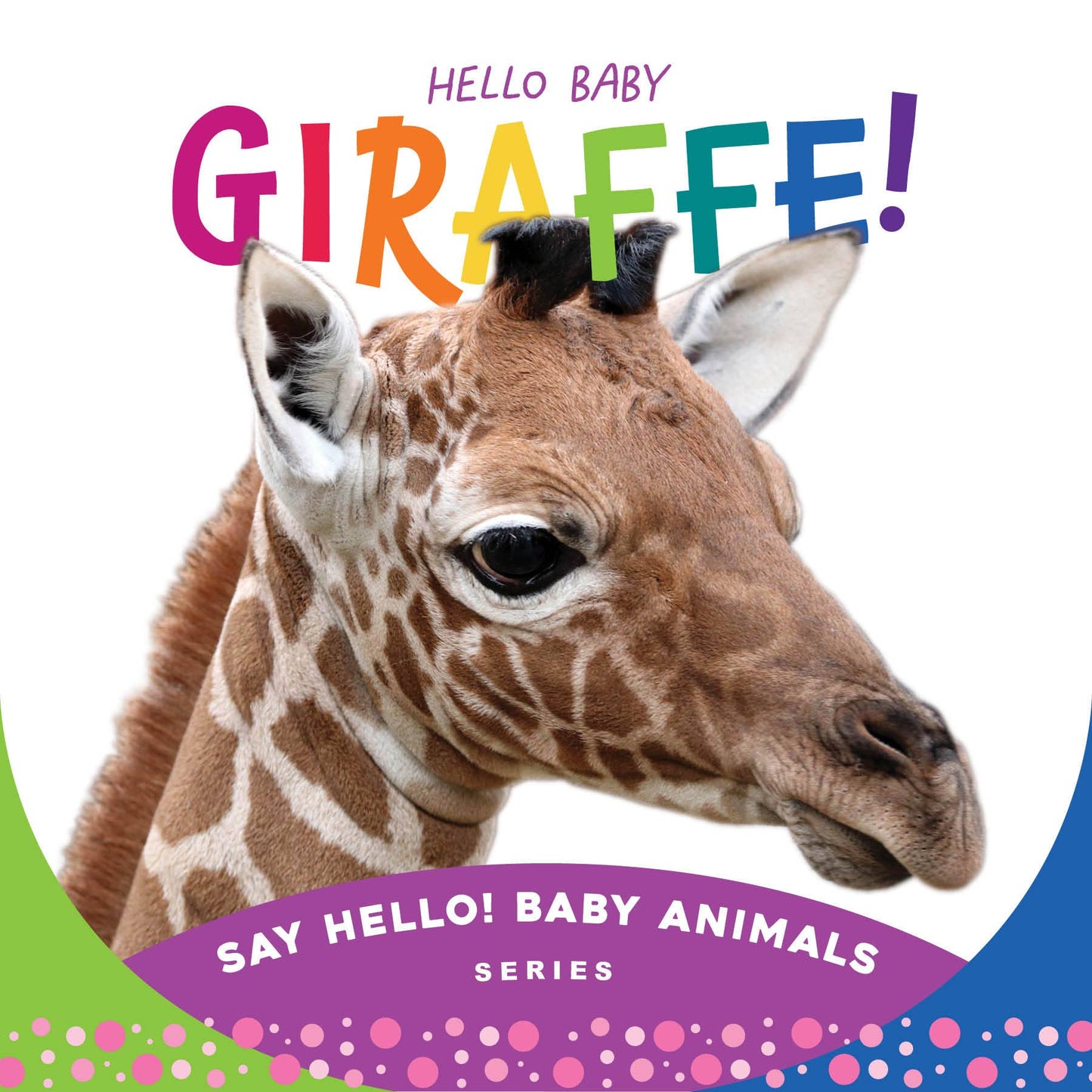 Hello Baby Giraffe board book